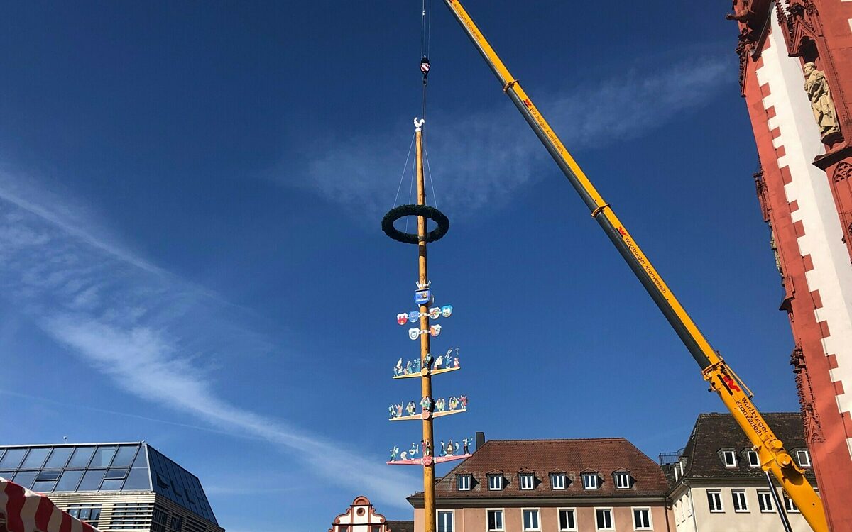 Der Maibaum in Würzburg wird aufgestellt Der Maibaum in Würzburg wird aufgestellt